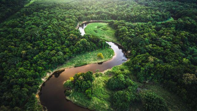 Aerial view of Atlantic forest in Brazil